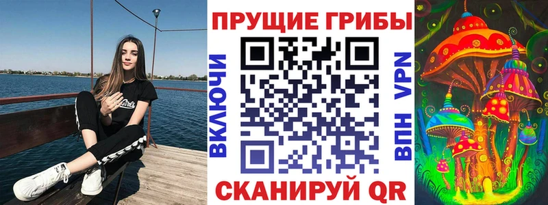 сколько стоит  Балахна  Псилоцибиновые грибы ЛСД 